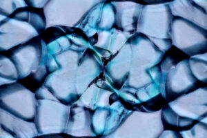 Read more about the article From Earth to Elegance: The Transformative Beauty of Turquoise Agate