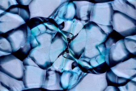 Read more about the article From Earth to Elegance: The Transformative Beauty of Turquoise Agate